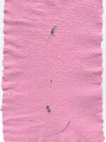 Pink with Flower Buds 10 pack